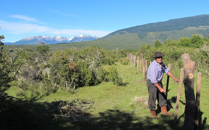 A person stands near a fence in a green area, surrounded by shrubs. In the background there are mountains. 